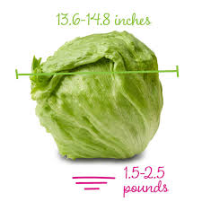 Twin development at week 26 your babies are growing fast. 26 Weeks Pregnant Our Life Unedited