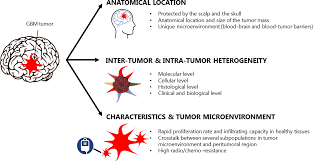 Qin ding jun xu ze li ; Frontiers Photothermal Therapy For The Treatment Of Glioblastoma Potential And Preclinical Challenges Oncology