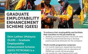 Sejak dari 2013, program ini telah dilaksanakan bertujuan untuk melatih para graduan diploma kejururawatan bagi meningkatkan kemahiran, kepakaran, keyakinan diri serta pembangunan sahsiah untuk membolehkan mereka mendapat. Skim Latihan 1malaysia 2019