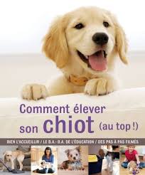 Comment Elever Son Chiot Au Top De Gwen Bailey Https Www Amazon Fr Dp 2035871549 Ref Cm Sw R Pi Dp X Xpbv Eduquer Un Chiot Education Chiot Telechargement