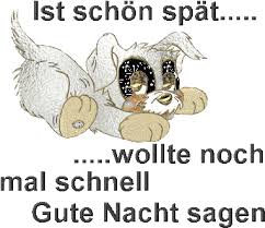 Discover and share the best gifs on tenor. Dreamies De Ptne5ziey6c Gif