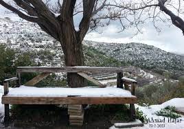 pin on صور منوعة