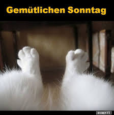 Gemutlichen Sonntag Lustige Bilder Spruche Witze Echt Lustig