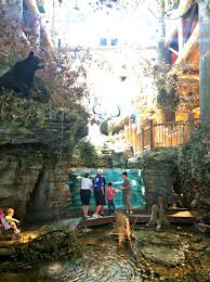 Johnny morris' wonders of wildlife national museum and aquarium has been voted america's best aquarium through a national public poll conducted by usa today. Bass Pro Shops Headquarters Downtown Springfield