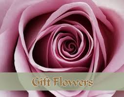 Do some event planning,weddings and also events at my church. Fantastic Fresh Flower Bouquets And Arrangements Delivered In Bishop Auckland And Surrounding Area