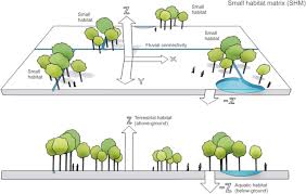 We did not find results for: Small Habitat Matrix How Does It Work Springerlink
