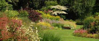 Storchschnabel Und Andere Stauden Graser Und Ihre Verwendung 3 3 The Beth Garten Kiesgarten Gartenkalender