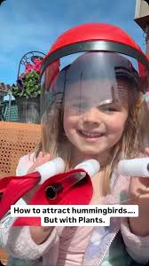 ✨Pro Tip from our Platt Hill Nursery: Plant these hummingbird-friendly  blooms and let nature do the work — no feeder mask required!, Top  Hummingbird Plants for Zone 5b:, Rose of Sharon, Bee Balm, ...