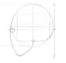 How To Draw A Face Facial Proportions