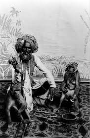 Indian Fakir with Monkeys - Late 19th ...