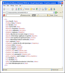 Resume Xml Format Best Resume Format Resume Format Resume