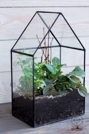 Big Glass House Planter Handmade Glass Succulent Terrarium Etsy In 2020 Glass Display Box Glass House House Planter