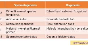 Agar lebih memahami tentang materi dari sistem reproduksi manusia admin akan memberikan soal reproduksi manusia kelas 9 smp/mts dan jawabannya. Soal Dan Pembahasan Un Materi Pembelahan Sel Bsb