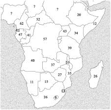 Image result for Ficus scassellatii