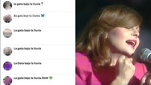 We did not find results for: Rocio Durcal Pide Que Dejen De Nombrarse La Gata Bajo La Lluvia Porque Se Ven Ridiculas