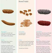 New zealand has one of the highest rates of bowel cancer in the world. Your Poo Could Reveal Clues To Your Health Newshub