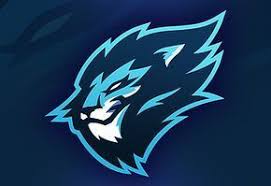  Lion Sports Logo Dribbble Logo Keren Gambar Serigala Binatang