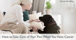 Low income families can get help from section 8 housing near them. Taking Care Of Your Pets When You Have Cancer Cancer Net