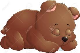 Kawaii bear animal head icon. Sleeping Bear In Isolated On White Background Royalty Free Cliparts Vectors And Stock Illustration Image 63576271
