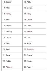 You can look beyond the normal baby books for inspiration for your pup's name. What S The Best Name For A Dog Quora