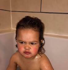 A day in the life of lily