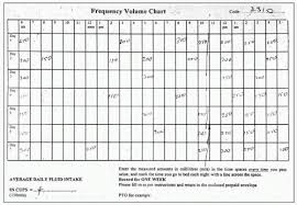 Evaluation Of Lower Urinary Tract Symptoms Abdominal Key