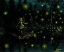 Fireflies Firefly Art Firefly Art