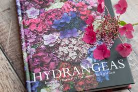 (these shrubs have few pests but can get spider mites if planted. Review Hydrangeas By Naomi Slade The Chatty Gardener