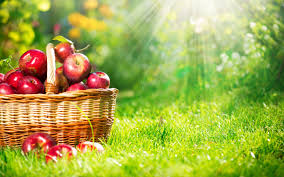 ƹ ʒ Fruit Fruit Wallpaper Apple Fruit