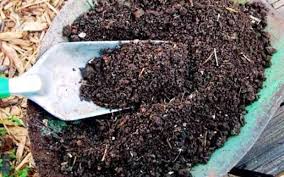 Image result for kompos bokashi