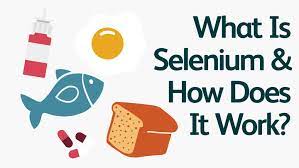 Selenium And Your Thyroid What You Should Know