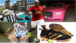 Последние твиты от paul pogba (@paulpogba). Paul Pogba S Net Worth Biography Family Pets Houses Cars And Shoes You Won T Believe He Owns A Tiger As Pet See Photos Theinfong