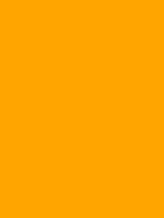 Orange Ffa500 Hex Color