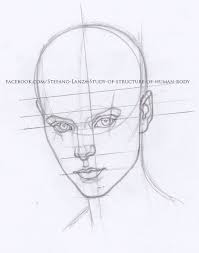 Head Draw Drawing Art Pencil Matita Anatomy Anatomia Disegno Face Drawing Reference Human Figure Drawing Figure Drawing