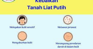 Tanah liat sendiri memiliki berbagai beberapa karakteristik dan juga jenisnya. Kelebihan Tanah Liat Putih Anak Kedah