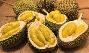 Vào những ngày nắng nóng của mùa hè. Thai Lan Sáº¯p Ä'Æ°a Sáº§u Rieng Vao VÅ© Trá»¥ Vnexpress
