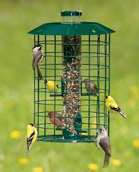 The 9 best hummingbird feeders of 2021. Duncraft Com Duncraft Best Seller Squirrel Proof Selective Bird Feeder
