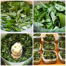 Drying and storing basil for the spice cabinet. How To Freeze Fresh Basil Kalyn S Kitchen