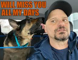 Today I lost my beautiful Winnie to cancer. She was only 6 years old. We  should have had many more years together.