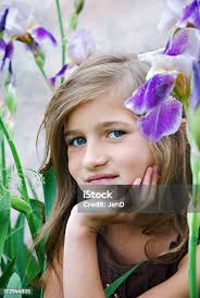 Spring Iris Stock Photo