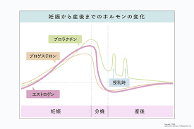 産後 最初 の 生理