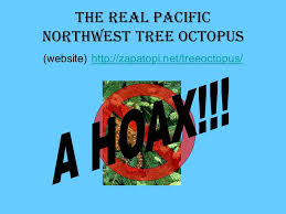 Online Research The Pacific Northwest Tree Octopus Ppt Download