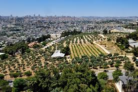 Brix | 8 followers on linkedin. Jerusalem Yerushalayim