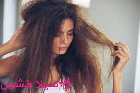 كيفية العناية بالشعر الجاف والمتساقط سيلا فشون Hair Styles Beauty Hair
