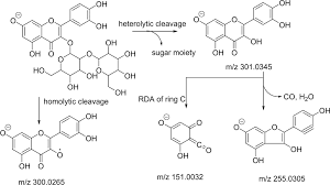 Image result for Polygala sadebeckiana