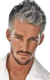 pin by marcio lugo on grey stoke salt n pepp older mens hairstyles grey hair men silver hair men