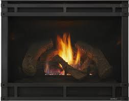 Hearth technologies toronto described in the category business. 8000 Series Indoor Gas Fireplace Heat Glo