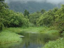 Rawa dano terletak di kabupaten serang berjarak sekitar 100 km dari jakarta, dengan luas sekitar 2.500 hektar, rawa dano merupakan salah satu tempat wisata yang menawarkan keindahan alam. Cagar Alam Rawadano