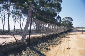 No 1 Rabbit Proof Fence - Golden Pipeline