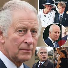 Officer rescues abandoned dog in snow